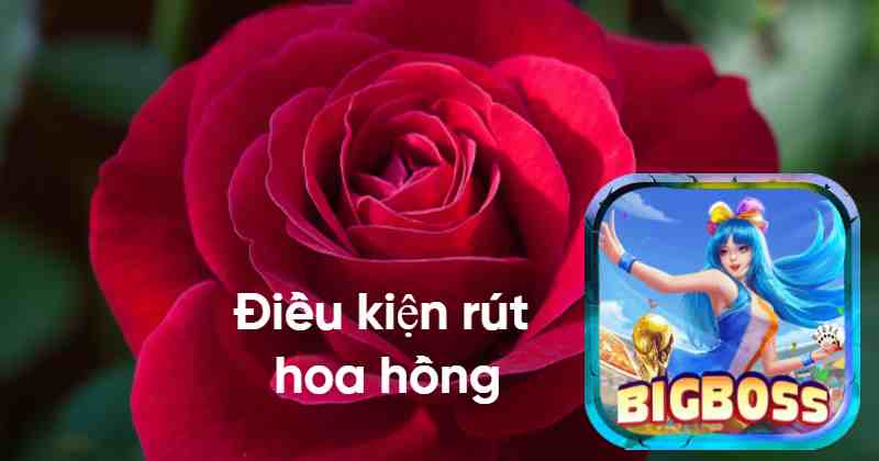 Điều kiện để có thể rút được hoa hồng từ cổng game Bigboss 