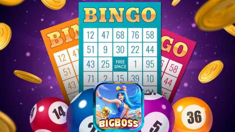 Mẹo chơi Xổ số Bingo Bigboss Thắng Lớn	