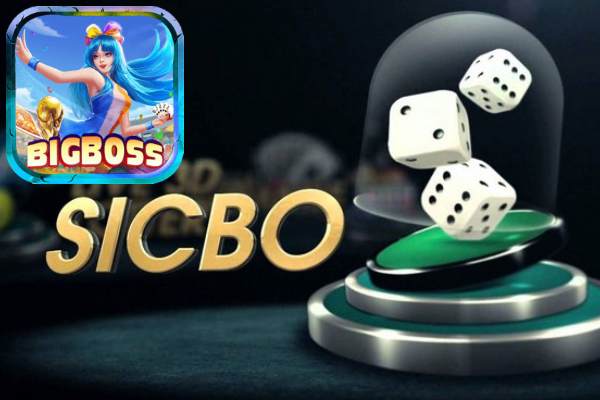 Hướng Dẫn Cách Chơi Sicbo Ở Bigboss Ẳn Chắc 99%	